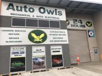 Auto Owls image 1